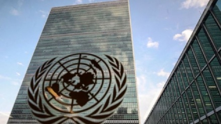 BM’nin Serpol eyaletinde Afganların avareliğine ilişkin raporu
