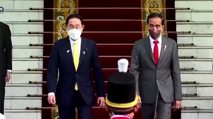 岸田首相がインドネシア大統領と会談、ウクライナ危機打開など協議