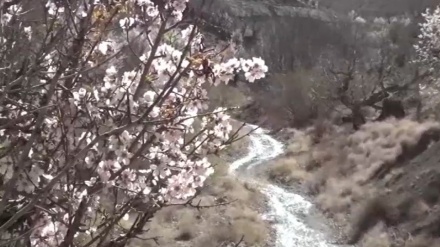 イラン北東部タクメイダーン村の春の自然