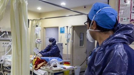 在过去24小时内，21名伊朗人染疫身亡