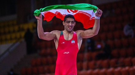 亚洲古典式摔跤锦标赛：伊朗阿里扎德夺冠