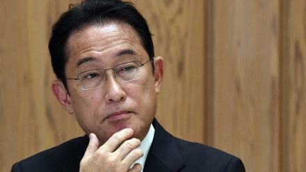 岸田内閣支持率、ほぼ横ばいで5割超維持