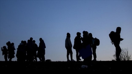 Kırklareli'de 264 kaçak göçmen yakalandı