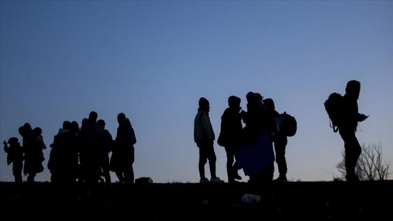 Kırklareli'de 264 kaçak göçmen yakalandı