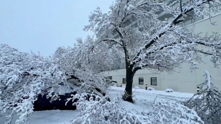 Snow storm leaves over 250,000 homes, businesses in US Northeast without power