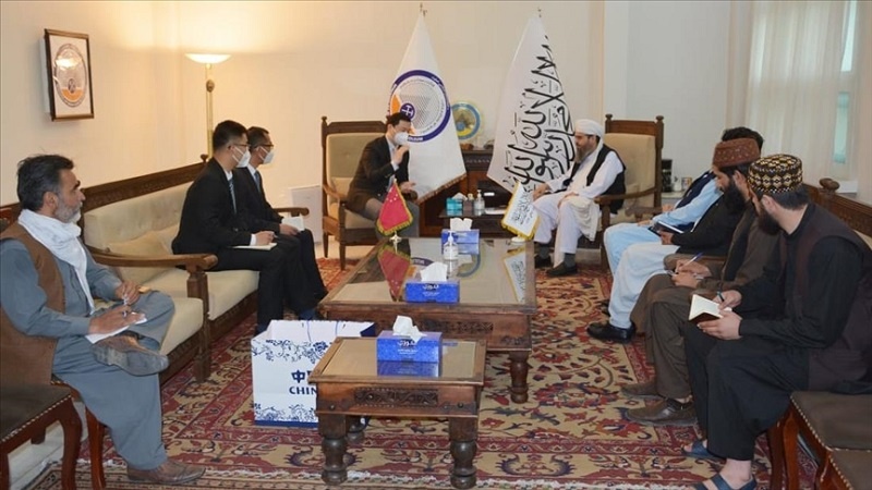 تاکید سرپرست وزارت معادن و نفت طالبان بر گسترش روابط با چین