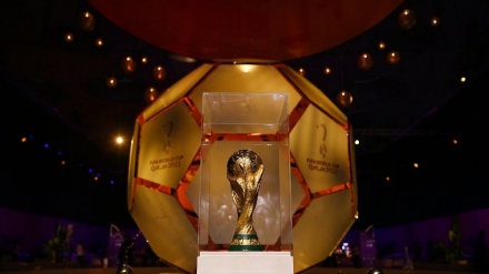 伊朗6个省将接待卡塔尔世界杯观众