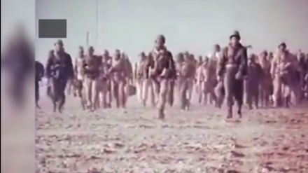 क्या आपको पता है कि ईरान-इराक युद्ध के दौरान कितने हज़ार अफगानी शूरवीर भी ईरान की ओर से लड़ते हुए शहीद हुए थे?