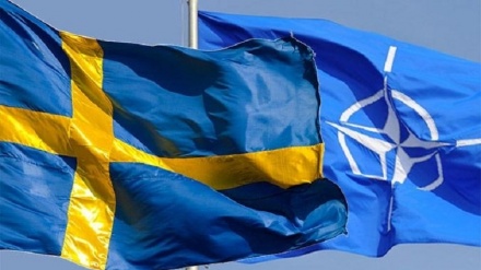 La Svezia chiederà di entrare nella Nato