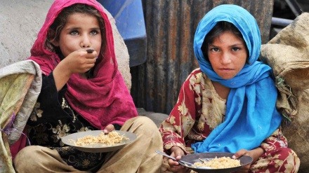 Paralajmërimi i OKB-së për pasigurinë ushqimore në Afganistan
