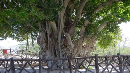 Эрон бўйлаб саёҳат (37)