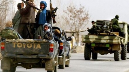عملیات نیرو‌های امنیتی طالبان در پروان علیه داعش 