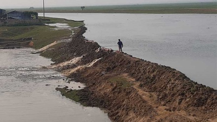 হাওর এলাকায় আগাম বন্যা, ফসল রক্ষায় স্থায়ী ব্যবস্থার পরিকল্পনা 