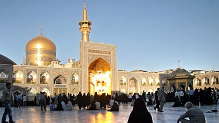 伊朗议员谴责极端分子在马士哈德袭击三位宗教人士
