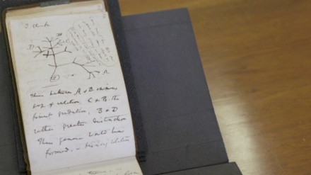 英ケンブリッジ大；消えたダーウィンの「進化論」ノートが匿名で返還
