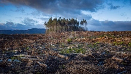  Study blames rich countries for 74 percent of world’s ecological harm 