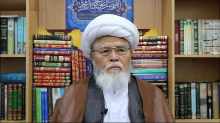 انتقاد آیت الله صالحی از سکوت جهانی در قبال مظلومیت مردم فلسطین
