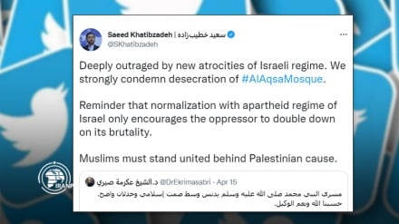 Hatibzade: Müslümanlar Filistin davasını desteklemek için birlik içinde olmalı 