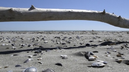 L'Adriatico resiste ai cambiamenti climatici, ma non all'uomo