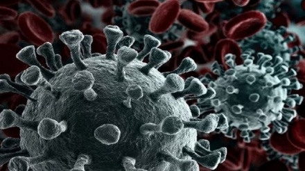 شناسایی علائمی جدید از ویروس کرونا