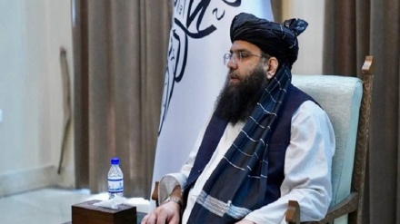 درخواست طالبان از کشورها برای گسترش روابط با افغانستان 