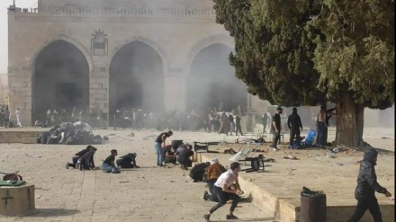 הסיבות האזוריות והבינלאומיות להמשך האלימות הישראלית נגד הפלסטינים