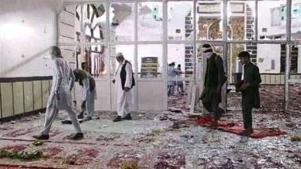 Daesh Akui Ledakkan Masjid Syiah di Mazar-i Sharif Afghanistan