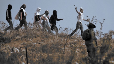 Forcat ushtarake sioniste arrestojnë 8 palestinezë