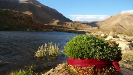 (FOTO) Gli iraniani hanno festeggiato il 'Sizdah Bedar' - 2