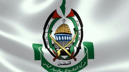 哈马斯否认达成停火协议