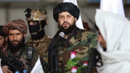 تلاش طالبان برای سازماندهی ارتش جدید