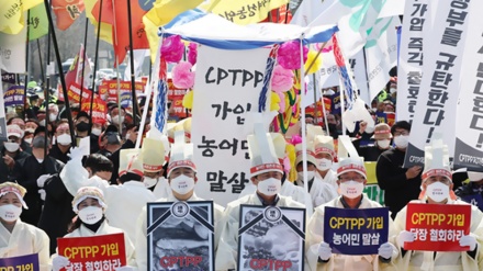 Petani Korea Selatan Demo Menentang Perdagangan Bebas