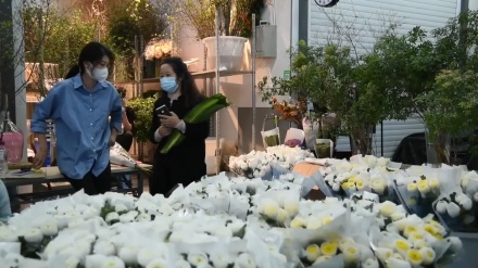 中国の墓参の習慣に変化、紙銭から生花へ