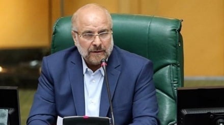 קליבאף : הגברת ייצור הידע, בראש העדיפויות של מועצת השורא