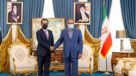 Շամխանին հանդիպել է Իրաքի խորհրդարանի նախագահի հետ 