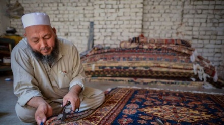 افزایش تولید و صادرات قالین بافی در افغانستان 