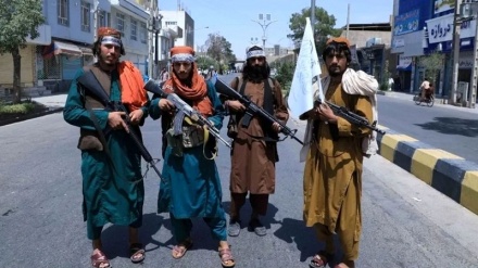 گزارش سازمان ملل متحد از وفاداری رهبر القائده و رهبر طالبان افغانستان