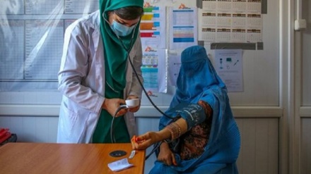 بازگشت 7 دکتر و متخصص افغان به کشور