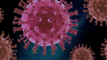 印尼三名儿童死于神秘肝炎