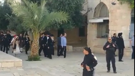 Pemukim Zionis Masuk ke Kompleks Masjid al-Aqsa