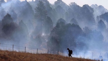 Thousands refuse to evacuate largest US wildfire in New Mexico