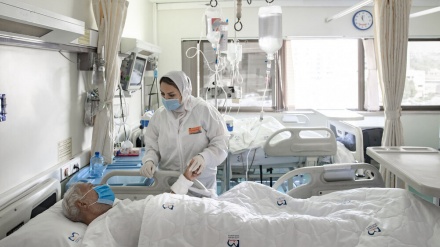 在过去24小时内，8名伊朗人染疫身亡