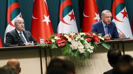 Erdoğan: İsveç ve Finlandiya'nın NATO üyeliklerine 'evet' demeyeceğiz 