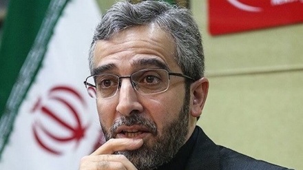 Bagheri Kani: Pengokohan Hubungan dengan Negara Kawasan Prioritas Iran