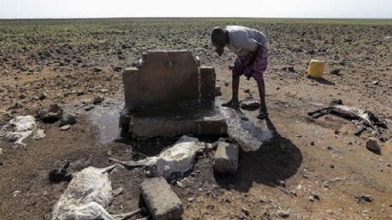 Onu chiede aiuti immediati per salvare vite in Corno d'Africa