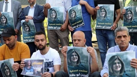 250 insan hakları teşekkülünün talebi, Soykırımcı İsrail Rejiminin cezalandırılması