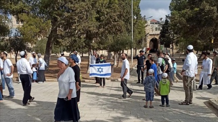 Kolonët sionistë sulmojnë xhaminë Al-Aksa