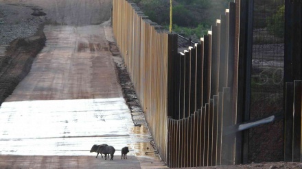 米とメキシコの国境壁が、環境上の悲劇の原因に