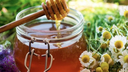 Clima, addio miele in Italia: e' allarme