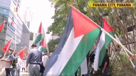 Pro-Palestine activists mark Nakba Day across Latin America